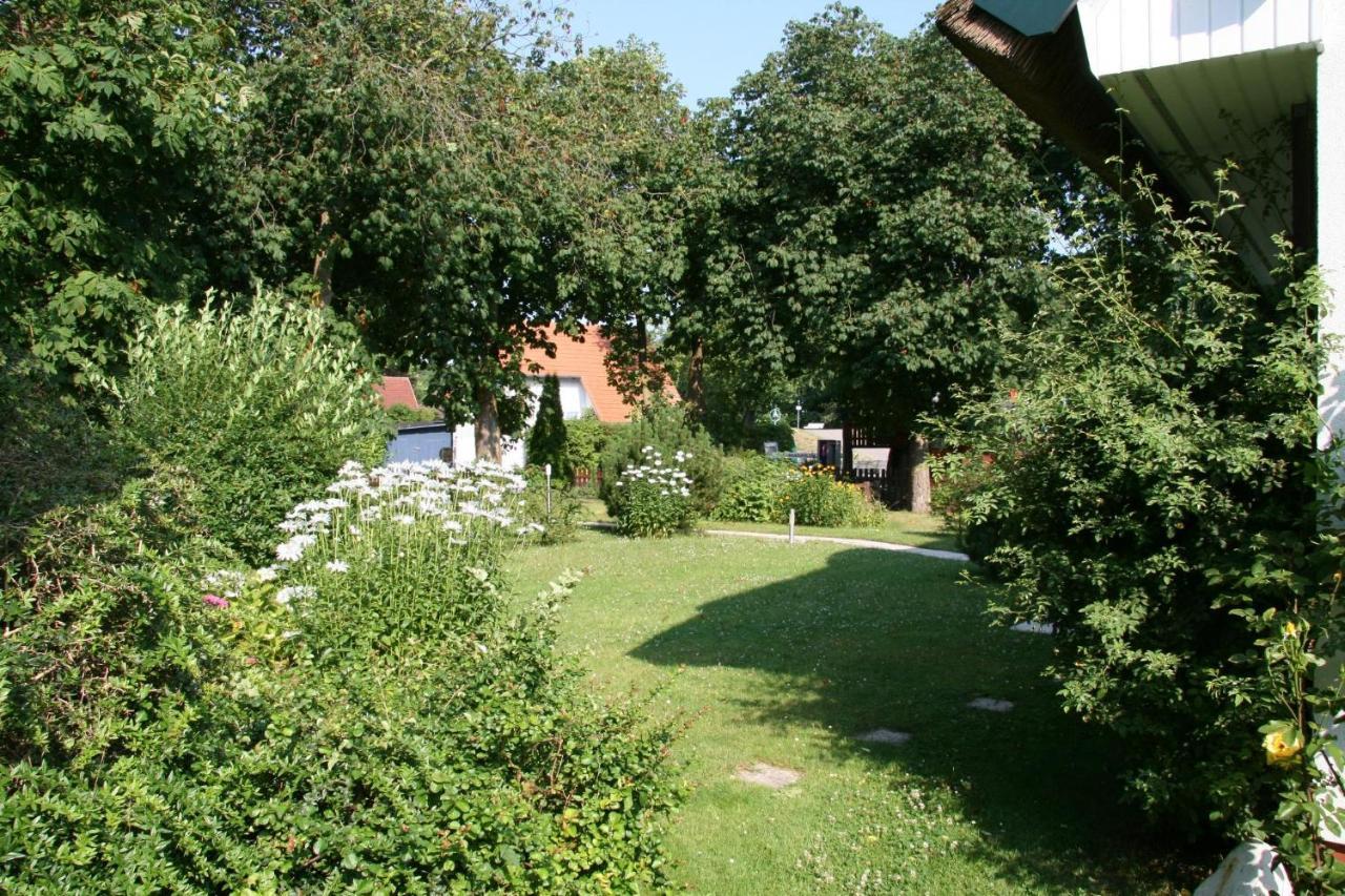 Strandstuebchen Apartment Zingst Luaran gambar